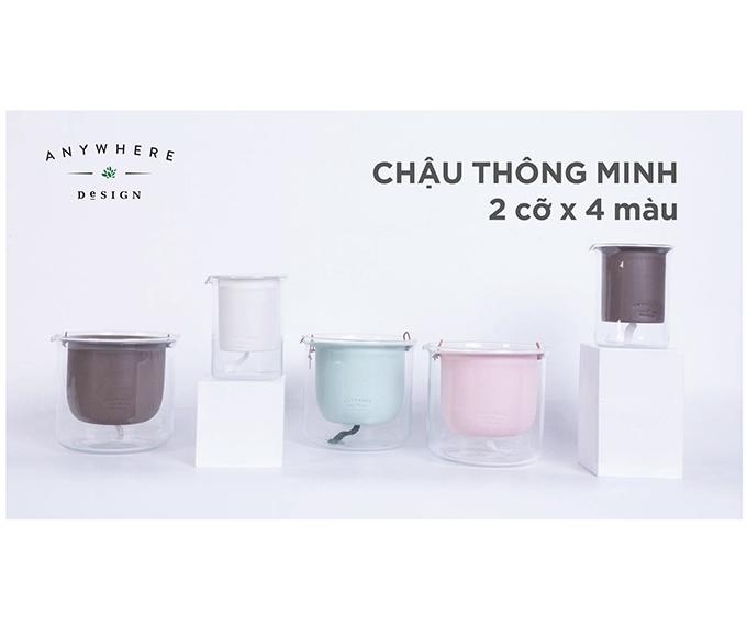  Cốc trồng cây Anywhere Design