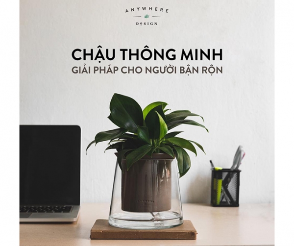  Cốc trồng cây Anywhere Design