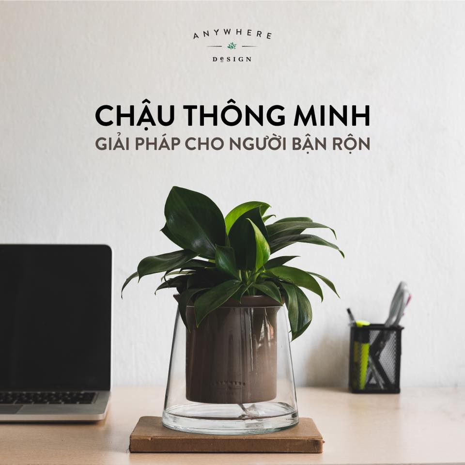 cốc thuỷ tinh trang trí đẹp